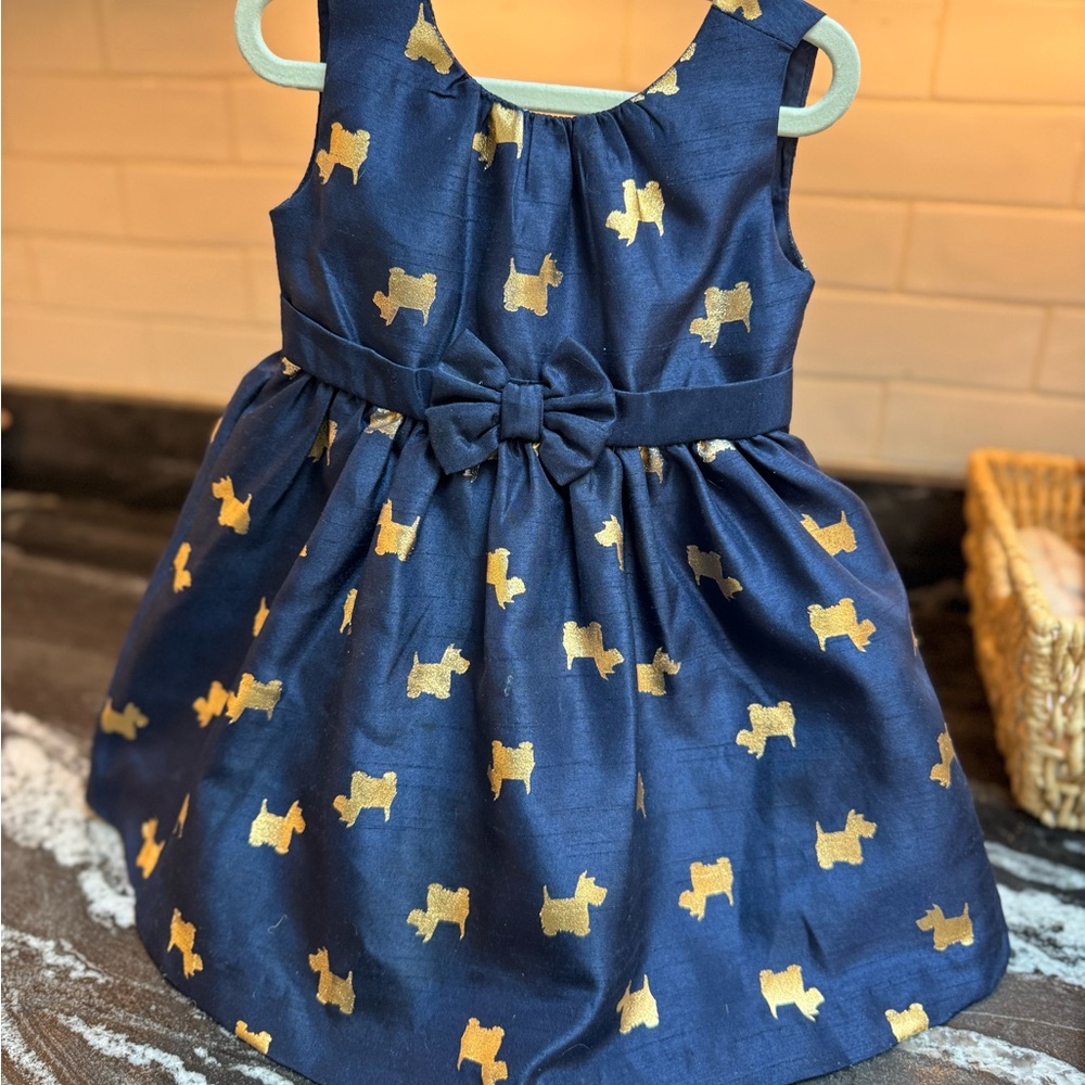 Gymboree Navy and Gold Formal Kids Dress